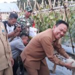 Panen Melon, Bupati Masneno Apresiasi Kerja Keras Kelompok Tani Tiklot