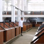 Soal Proses Hukum Dua Tersangka Penyiram Novel, Presiden Minta Kawal Bersama