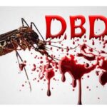 Demam Berdarah Di NTT meningkat Drastis.