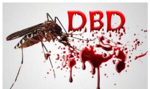 IMG 20201219 WA00021