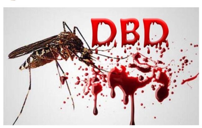 IMG 20201219 WA00021