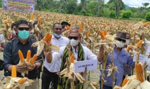 GUBERNUR 9090909090909090