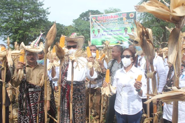 Gubernur 101010101010100101