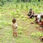 Babinsa Bantu Warga Bersihkan Kebun Kacang Tanah