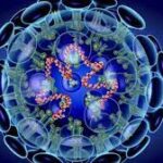 Update: Kasus Covid-19 , Jumad 19 Maret 2021