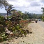 Bencana Angin Siklon zeroja : Kota Kupang Seperti Kota Mati