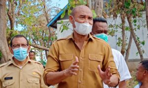 laiskodat 222222222222222222