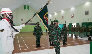 dandimmmmmmmmmmmmmmmmmmmm