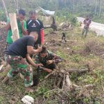 Satgas TMMD) Ke-111 Kodim 1604/Kupang, Mengolah Lahan Tidur Jadi Lahan Produktif