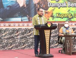 Terima Kunjungan Kepala BNPB, Wagub Nae Soi Apresiasi Perhatian Pemerintah Pusat