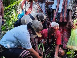Tanam Anakan Di Sumber Mata Air Non Au Bupati Simon Terinspirasi Filosofi Bambu