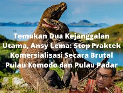 Temukan Dua Kejanggalan Utama, Ansi Lema: Stop Praktek Komersialisasi Secara Brutal Pulau Komodo Dan Pulau Padar