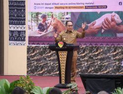 Buka kegiatan Kick Off Kampanye Kesadaran ASF, Wabub JNS: Mari Kita Ternak Babi Lagi, Jangan Takut!