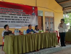 Wakil Ketua TP PKK Provinsi NTT Minta Masyarakat Rajin Konsumsi Kelor