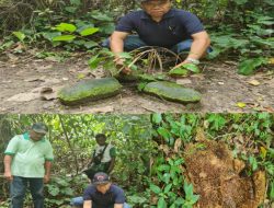 Bupati Malaka “Temukan” Situs Sejarah Lalian Tolu