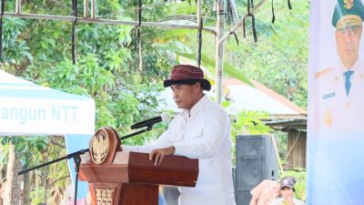 FOTO NUMPONI GUBERNUR