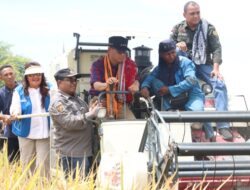 Penjabat Gubernur NTT, Dr. Andriko Noto Susanto, Lakukan Kunjungan Kerja di Kawasan Persawahan Bena, TTS