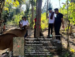 CV Rijani Trans Serahkan Dua Ekor Sapi Betina Produktif untuk Kelompok Ternak di TTS: Dorong Ketahanan Pangan dan Peningkatan Ekonomi Peternak