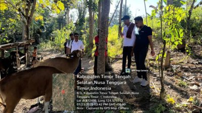 IMG 20250724 WA0000 1