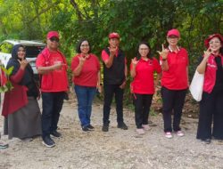 Rayakan Ultah Megawati, DPD PDI Perjuangan NTT Lakukan Aksi Merawat Pertiwi